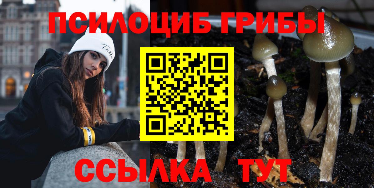 Галлюциногенные грибы мицелий  Вход с VPN  Владимир 